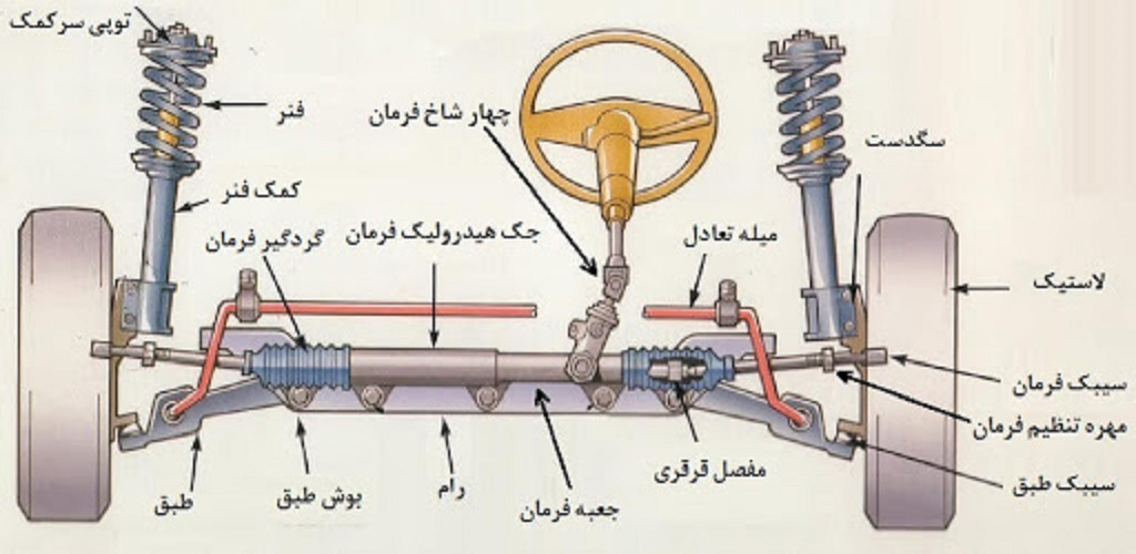 محل قرار گیری طبق