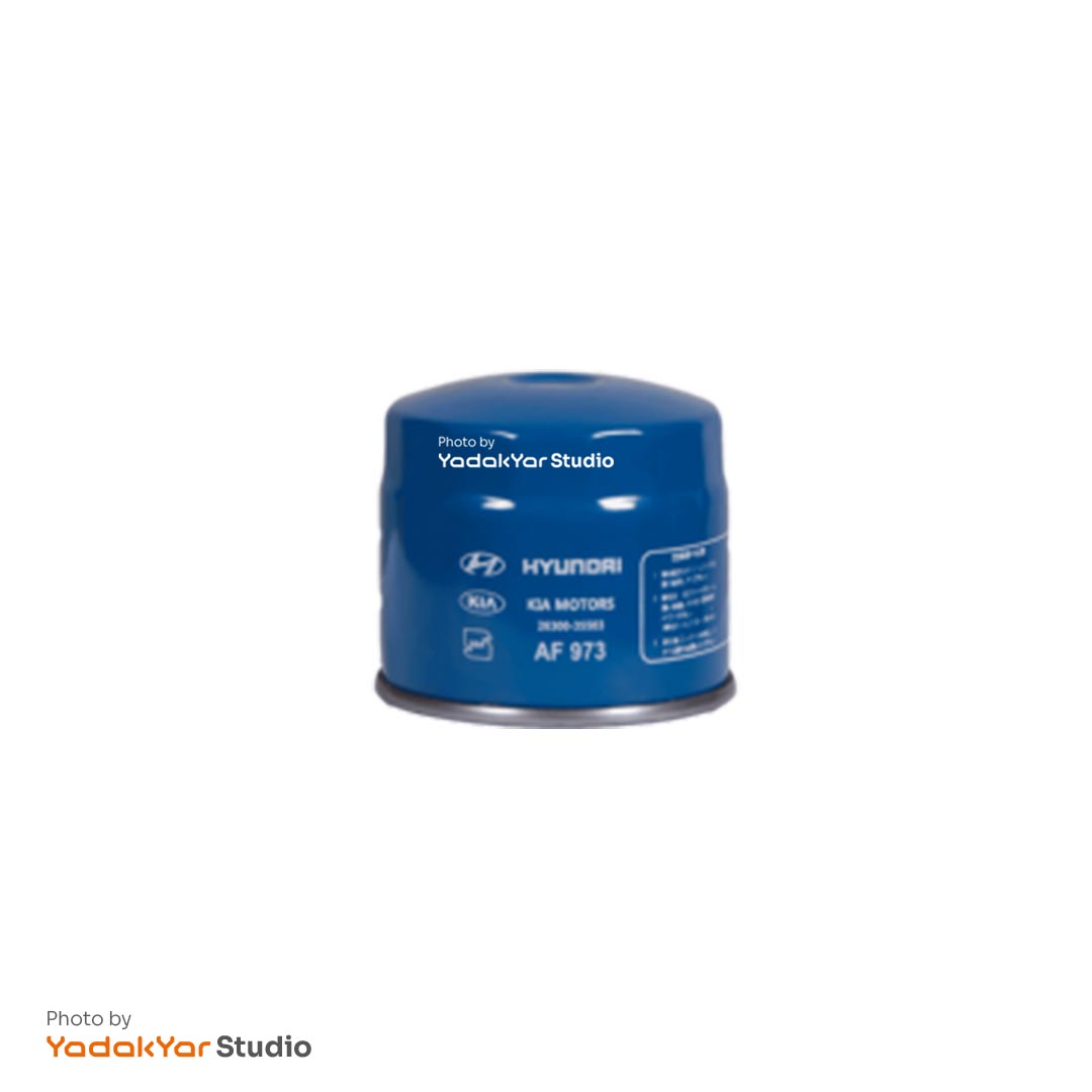 فیلتر روغن آوانته