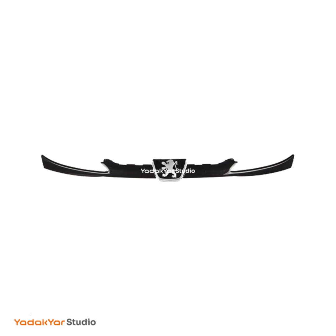 جلو پنجره 206